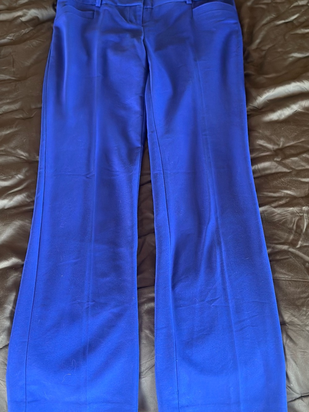 Express Straight-Leg Dress Pants in Royal Blue